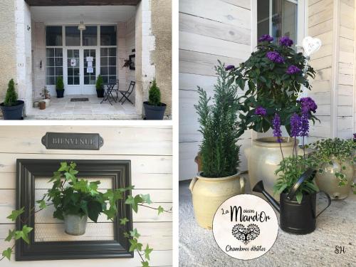 Maison Mard'Or Chambre Plume – Photos 5