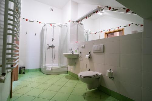 a bathroom with a toilet and a shower and a sink at Centrum Promocji Zdrowia Sanvit in Sanok