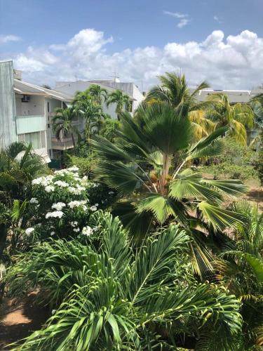a group of palm trees and flowers in front of a building at Résidence MARINA 3 in Les Trois-Îlets