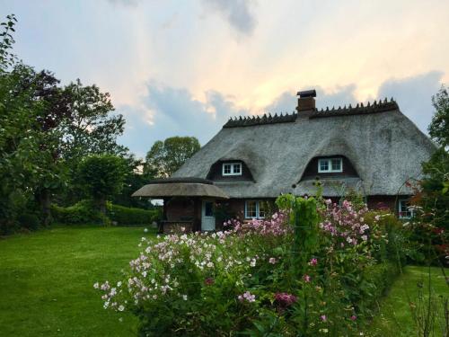 Zahrada ubytování Reetdachkaten in Schuby, Ostsee