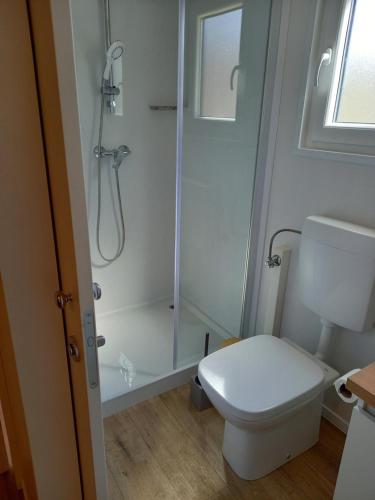 a white bathroom with a shower and a toilet at Mobile Home Agava 2 in Biograd na Moru