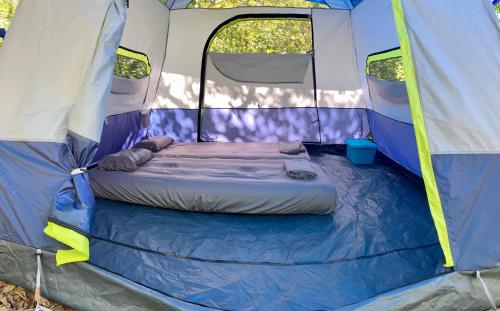 a blue and white tent with a bed in it at Irie Town in San Andrés