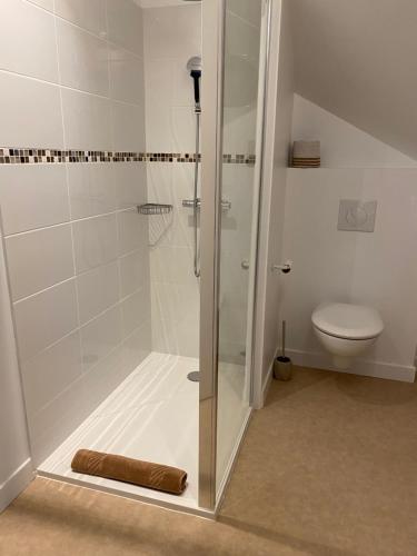 a bathroom with a shower and a toilet at Le Rocher Appart Hôtel in Valognes