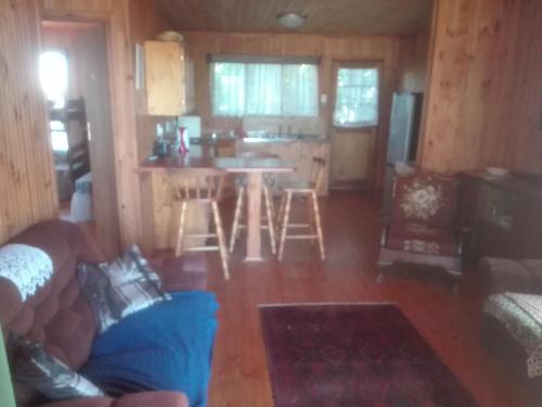 Emerald Hill Cabin في Mount Pleasant: غرفة معيشة ومطبخ مع أريكة وطاولة