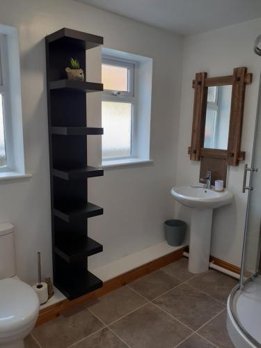 a bathroom with a black book shelf next to a sink at Bear Apartments in Rhayader