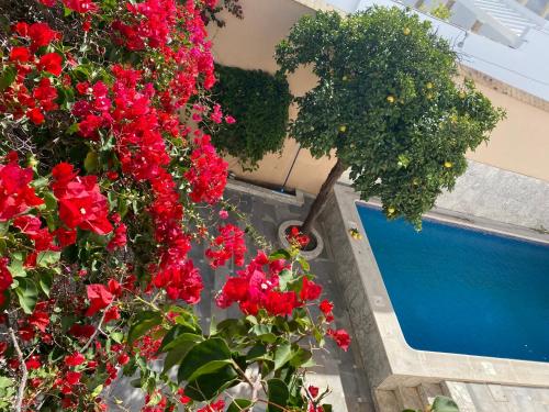 Casa Palacio Ánima, Jerez de la Frontera – Bijgewerkte ...