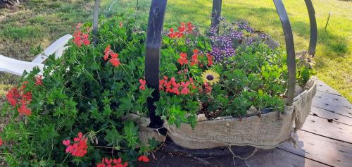 two baskets filled with flowers in a garden at Armiriki Apartments in Korakokhórion