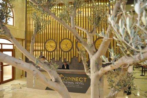 a group of clocks on a wall behind a tree at CONNECT THERMAL HOTEL in Ankara