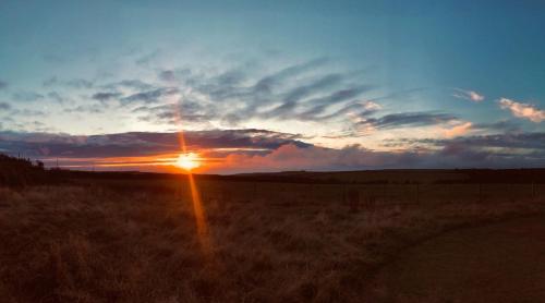 a sunset in a field with the sun in the sky at Downe Cottages in Hartland