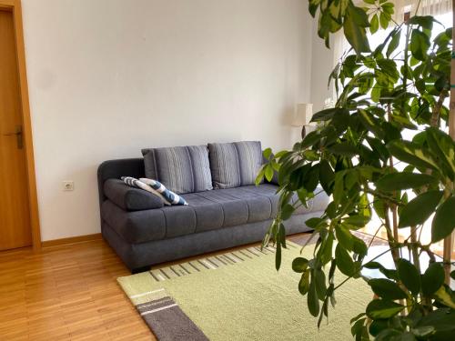 a blue couch in a living room with a plant at Apartmani Mia in Zambratija