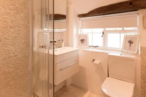 a bathroom with a toilet and a sink at Miller Cottage a luxury 1550's cottage in the Historic centre of Saffron Walden in Saffron Walden