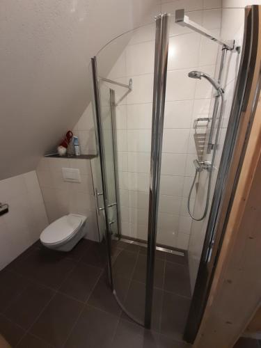 een badkamer met een douche en een toilet bij Ferienwohnung Zetzhirsch in Weiz