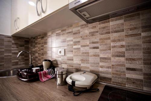 eine Küche mit einem Waschbecken und einem WC auf dem Tresen in der Unterkunft Apartment Bohemian Dream in Nikšić