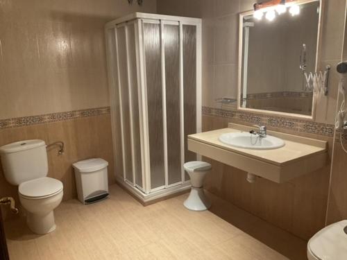 een badkamer met een toilet, een wastafel en een douche bij Hotel el Sol in Lanjarón