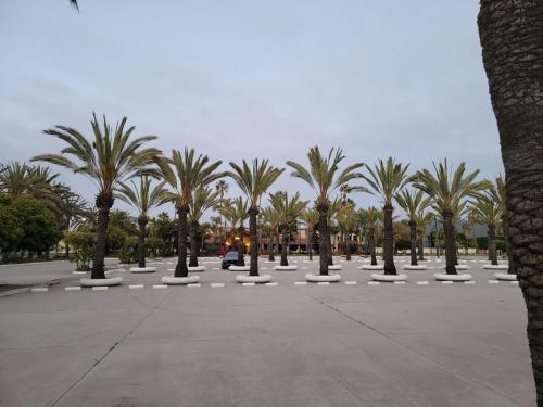 a row of palm trees in a parking lot at Hotel Paraiso Las Palmas in Ensenada