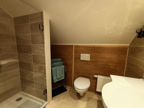 a small bathroom with a toilet and a shower at B&B Le Reclus in Mont-de-l'Enclus