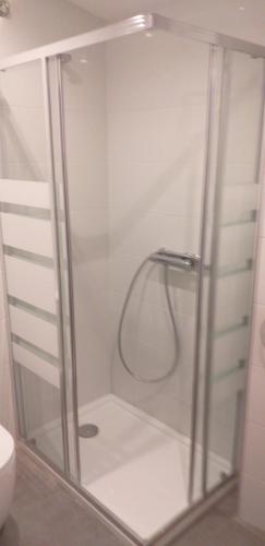 a shower with a glass door in a bathroom at APARTAMENTOS DON MANUEL D in Cee
