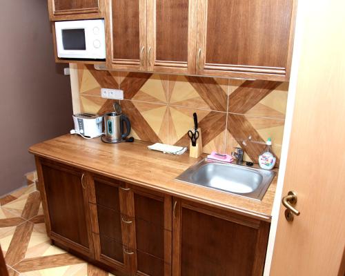 a kitchen counter with a sink and a microwave at Penzion V Roklich & Apartmens V Roklich in Ricany