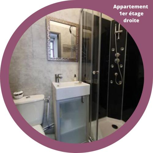 La salle de bains est pourvue d'un lavabo, de toilettes et d'un miroir. dans l'établissement RnB Locations Vichy, à Vichy