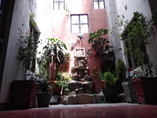 um pátio com plantas e uma fonte num edifício em Hotel Casolia em Quetzaltenango
