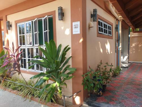 Ivilaa View – Photos 4