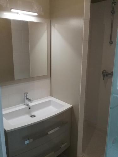 a bathroom with a white sink and a mirror at Agréable T2 à Bidart, centre bourg & plages à pied in Bidart