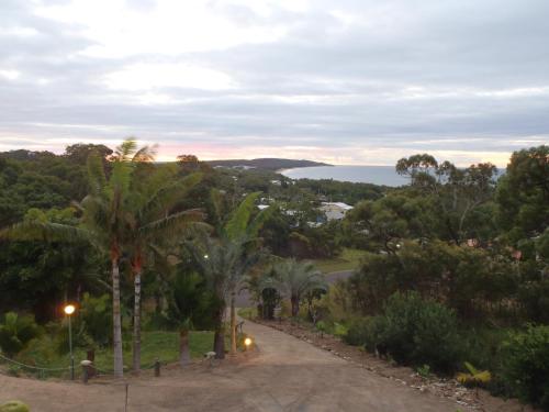 a road with palm trees and a view of the ocean at Escape 1770 Motel - No Kids - NO SMOKING - No Partying in Agnes Water