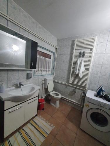 a bathroom with a sink and a washing machine at Cabana Trei Brazi Cacica in Cacica