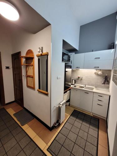 Köök või kööginurk majutusasutuses Pokoje przy Arkadii