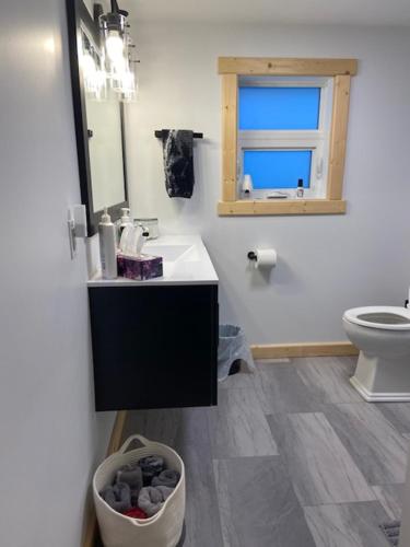 a bathroom with a sink and a toilet and a mirror at Bears Den Guest House in Churchill