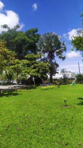 a park with a bench in the middle of a field at Finca Hotel los Nogales in Quimbaya