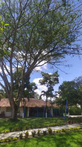 a house with a large tree in the yard at Finca Hotel los Nogales in Quimbaya