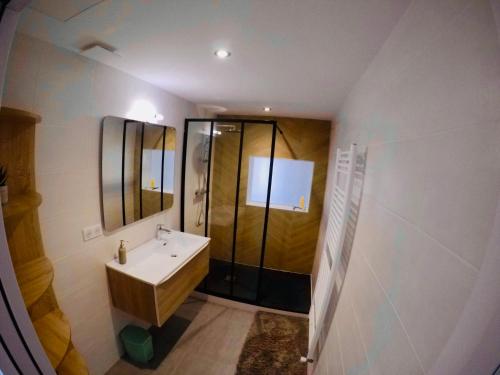 uma casa de banho com um lavatório e um chuveiro em Charming & cosy rooms Nantes (chambres chez l'habitant) em Nantes