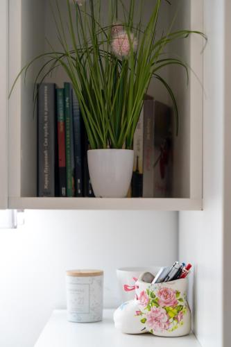 a plant sitting on a shelf with books at Apartman Tajena in Zlatibor