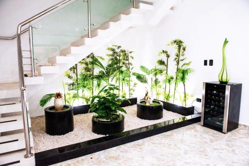 Un mucchio di piante in una stanza con le scale di Hotel Boutique Papagayo a Tarapoto