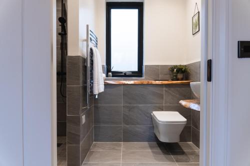 a bathroom with a toilet and a window at Drumhierny Woodland Hideaway in Leitrim