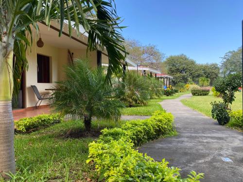 a walkway next to a house with a palm tree at Hotel Boutique Victoria in Moyogalpa
