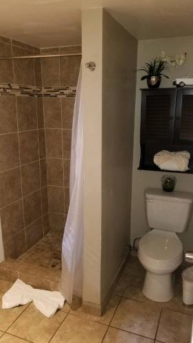 a bathroom with a toilet and a shower with a shower curtain at Gondola Lodge & Tahoe Beach Club in South Lake Tahoe