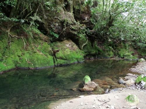 a body of water with a green object in the water at CABAÑA EL SALTO 2 in Tzicuilán