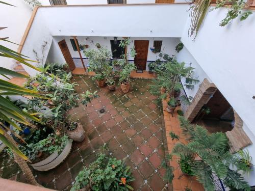 Vivienda Turística en Típico Patio Cordobés San Basilio
