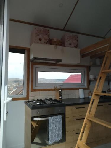 a small kitchen with a stove and a window at Tiny House Cluj with Jacuzzi in Sînnicoară