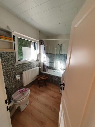 a small bathroom with a toilet and a window at Ferienhaus blauer See mit optionalem Hot-Tub in Bockhorn