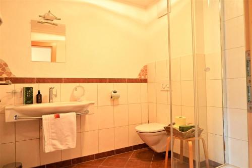 a bathroom with a toilet and a sink and a shower at Residence Martha in Biberwier