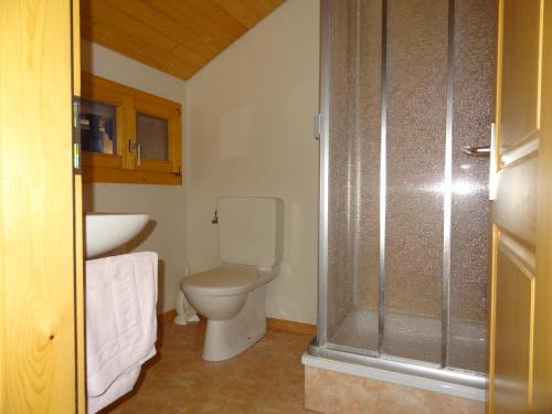 ein Bad mit einem WC und einer Dusche in der Unterkunft Helvetia in Troistorrents