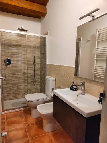 a bathroom with a toilet and a sink and a shower at Bed & Breakfast In vino veritas in Arcevia