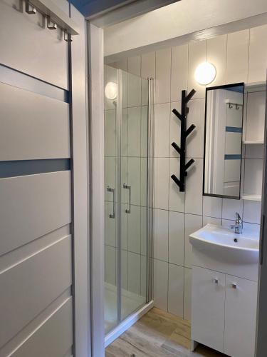 a bathroom with a glass shower and a sink at Ostoja Miłolas in Lidzbark Warmiński
