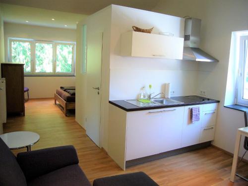 uma cozinha com um lavatório e uma bancada em Apartments am Rehgehege Apartment 4 3 OG em Überlingen