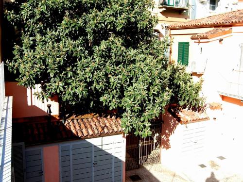 Residenza il Nespolo - Gruppo Estella Hotels photo 37