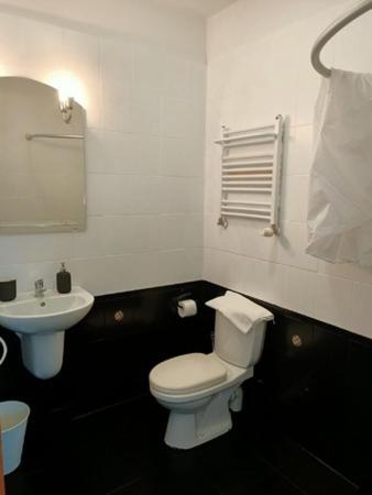a bathroom with a white toilet and a sink at Folwark Nadmorska Ostoja in Mechelinki