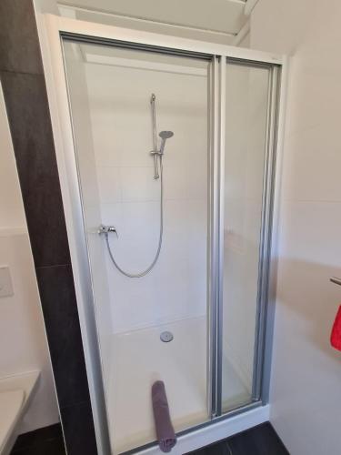 a shower with a glass door in a bathroom at Pension Tulpe in Sankt Kanzian